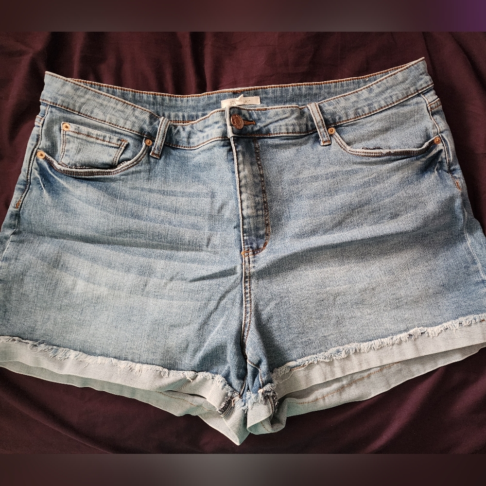 STS‎ Blue Molly High Rise Shorts Plus 20